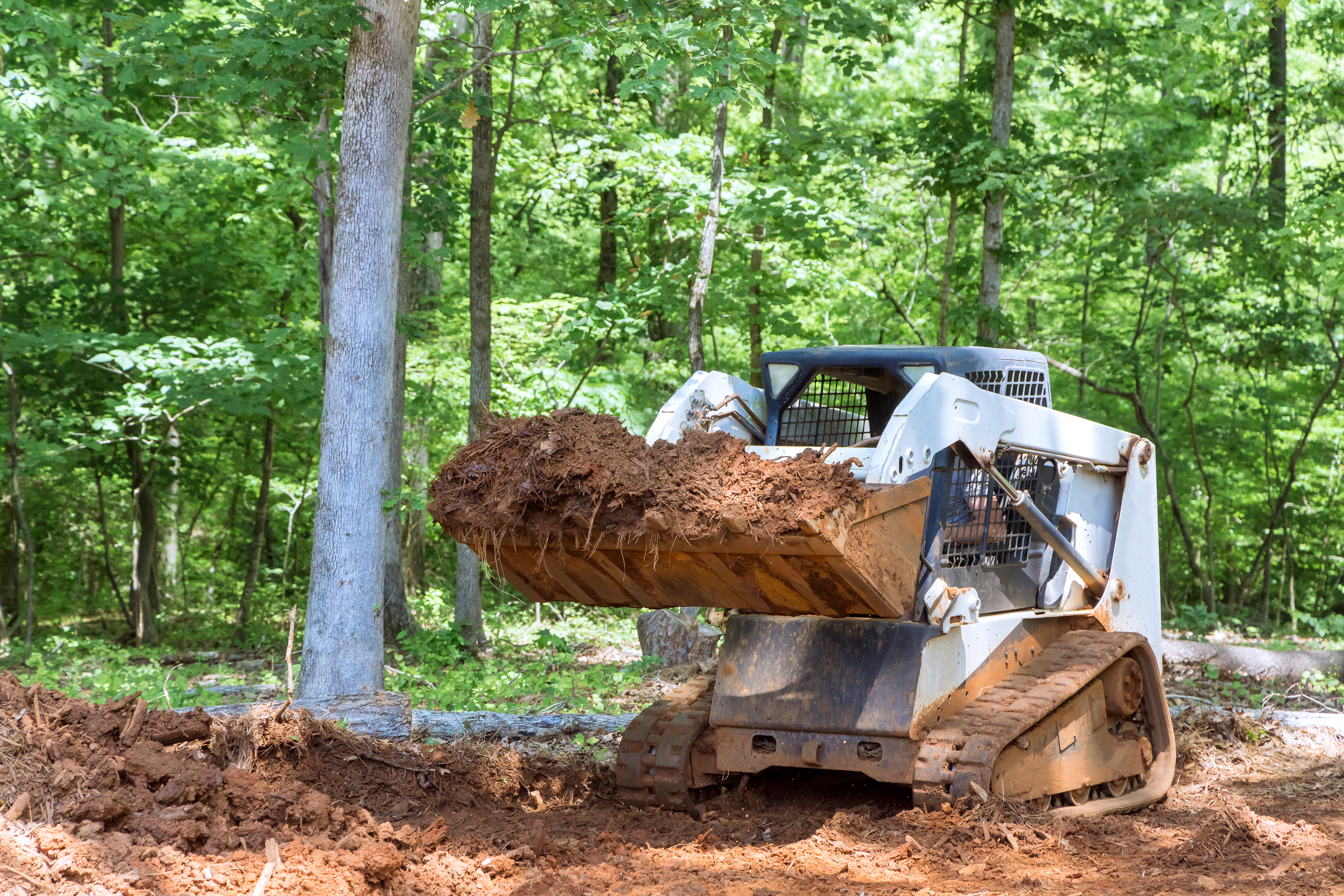 Site Preparation